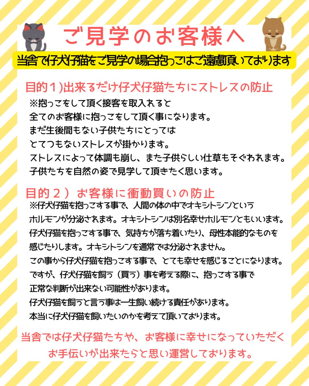 こんにちは♪PET JUMPです💡
