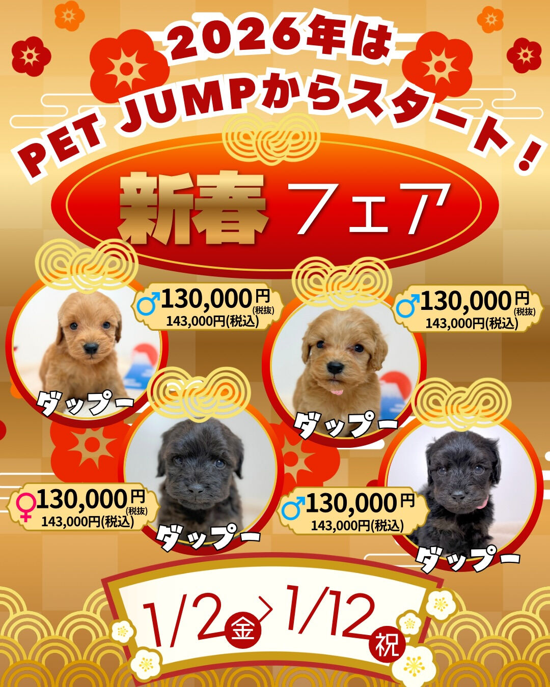 🎍✨**新春フェア開催！**✨🐶