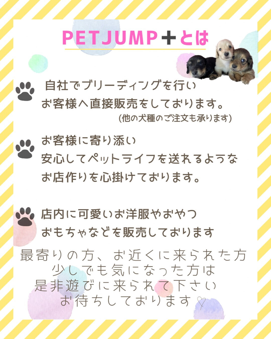 PET JUMPです🐶🩷