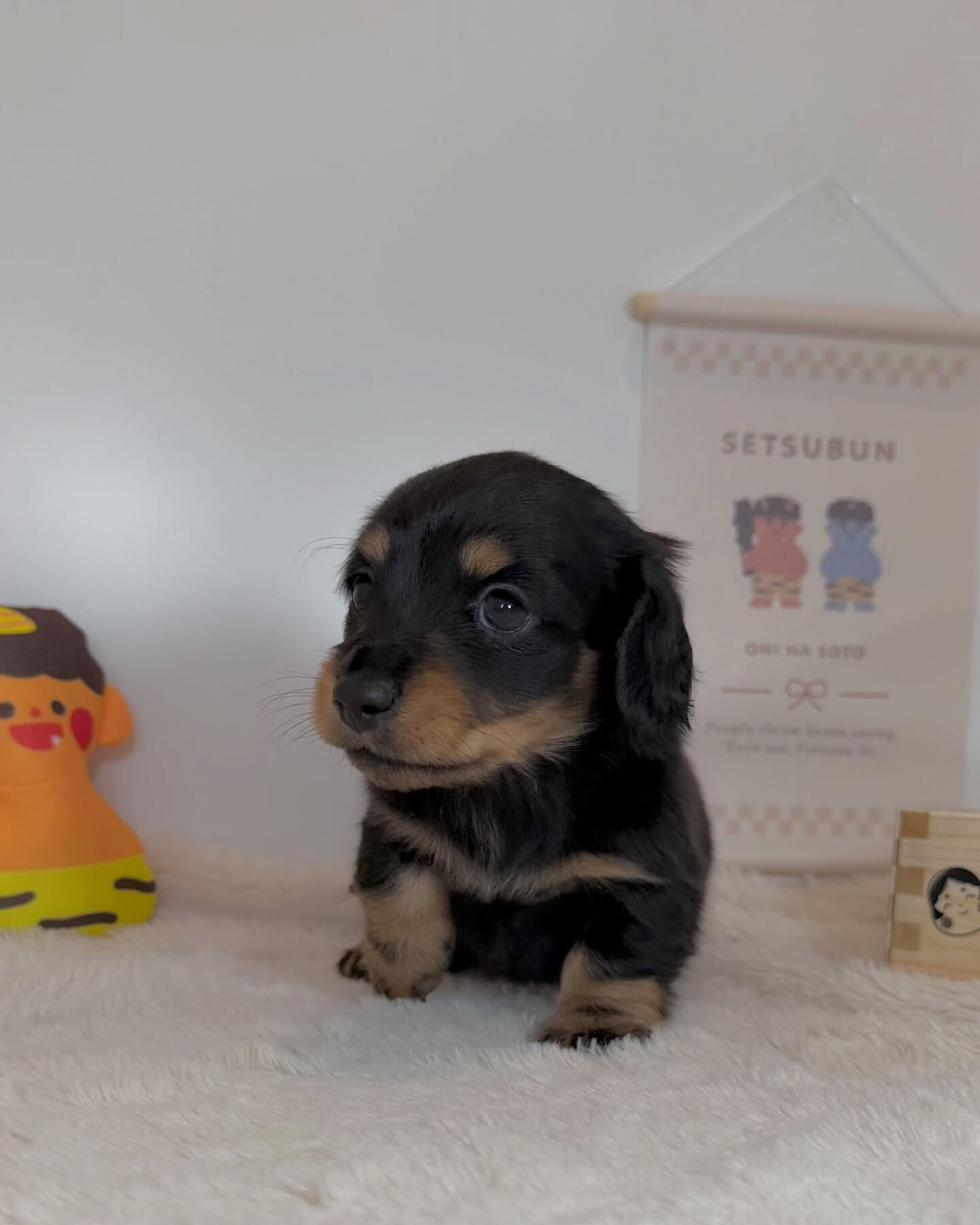 PET JUMPです🐶🩷