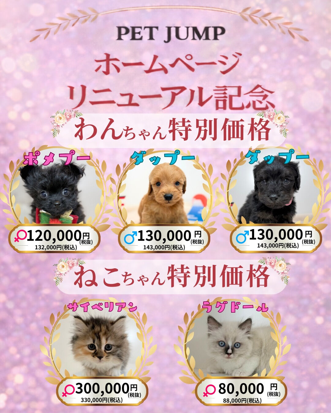 🐶🐱 ホームページリニューアル記念CAMPAIGN 🐱🐶