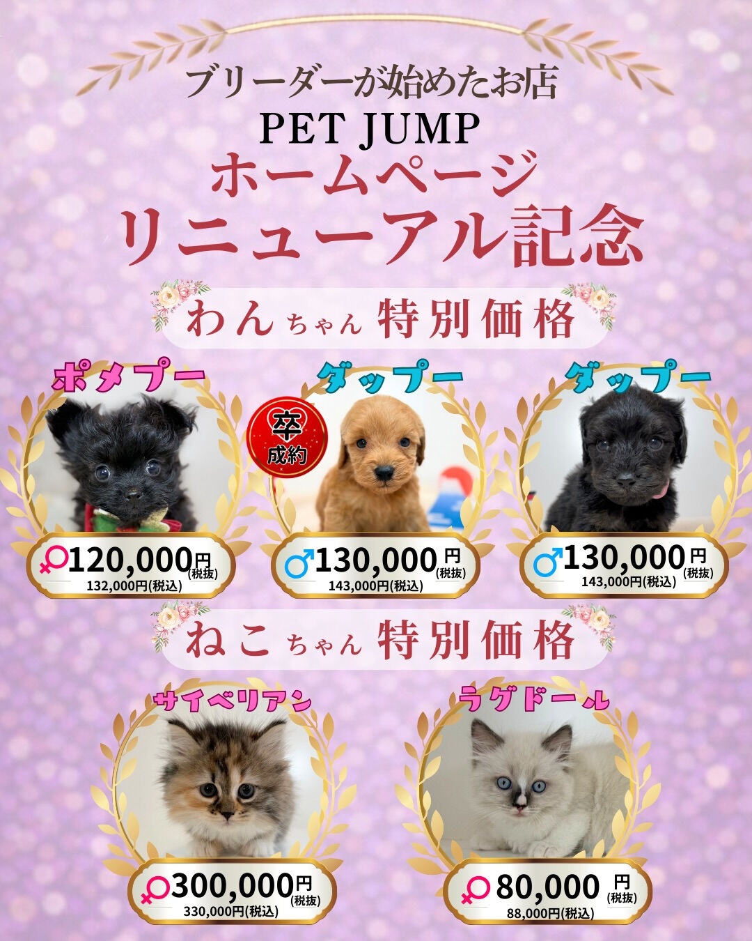 🐶🐱 ホームページリニューアル記念CAMPAIGN 🐱🐶