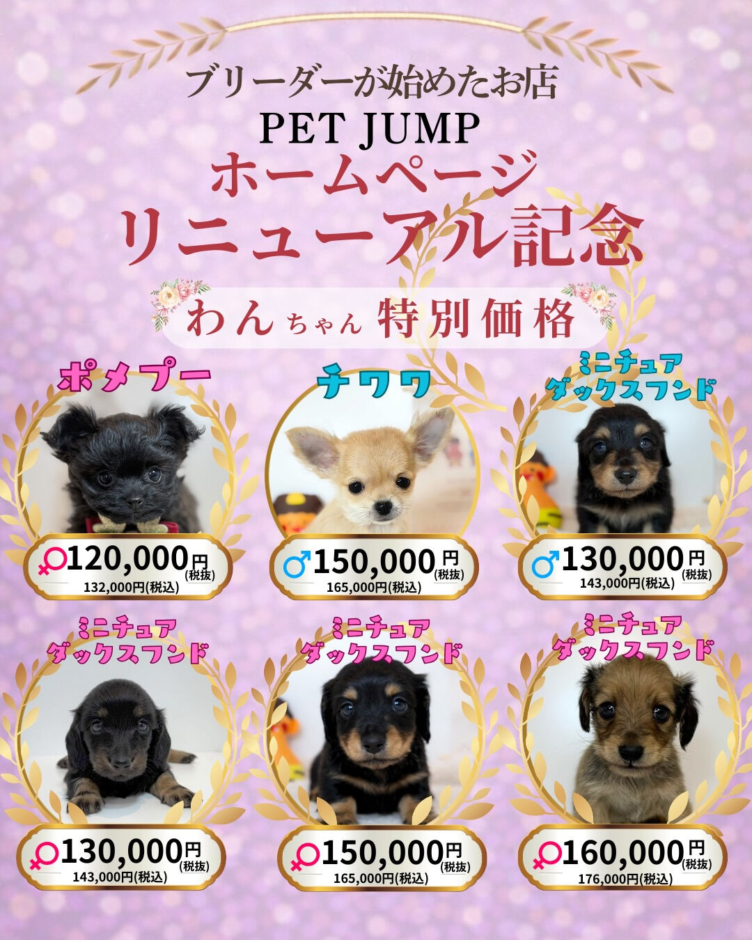 🐶🐱 ホームページリニューアル記念CAMPAIGN 🐱🐶