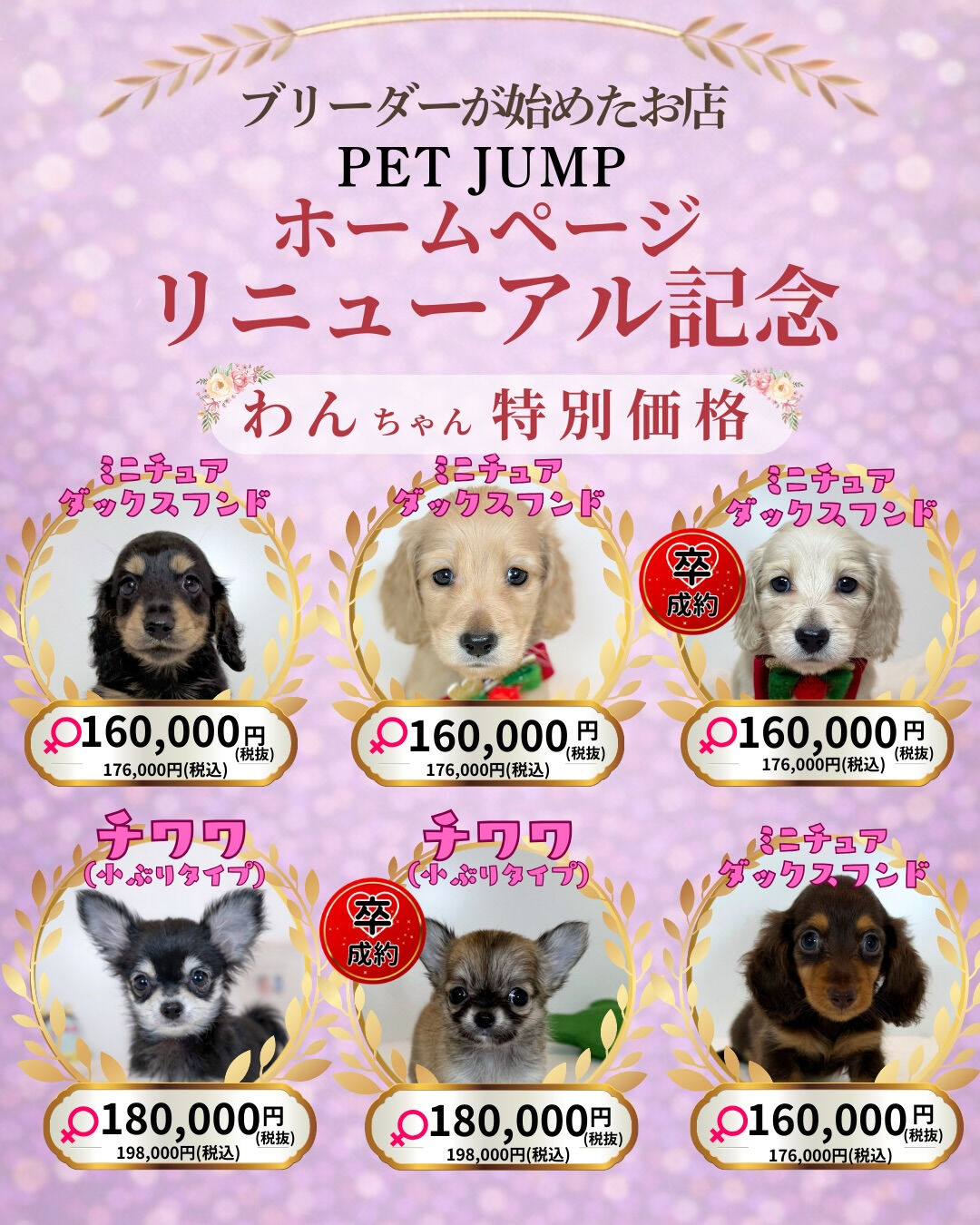 🐶🐱 ホームページリニューアル記念CAMPAIGN 🐱🐶