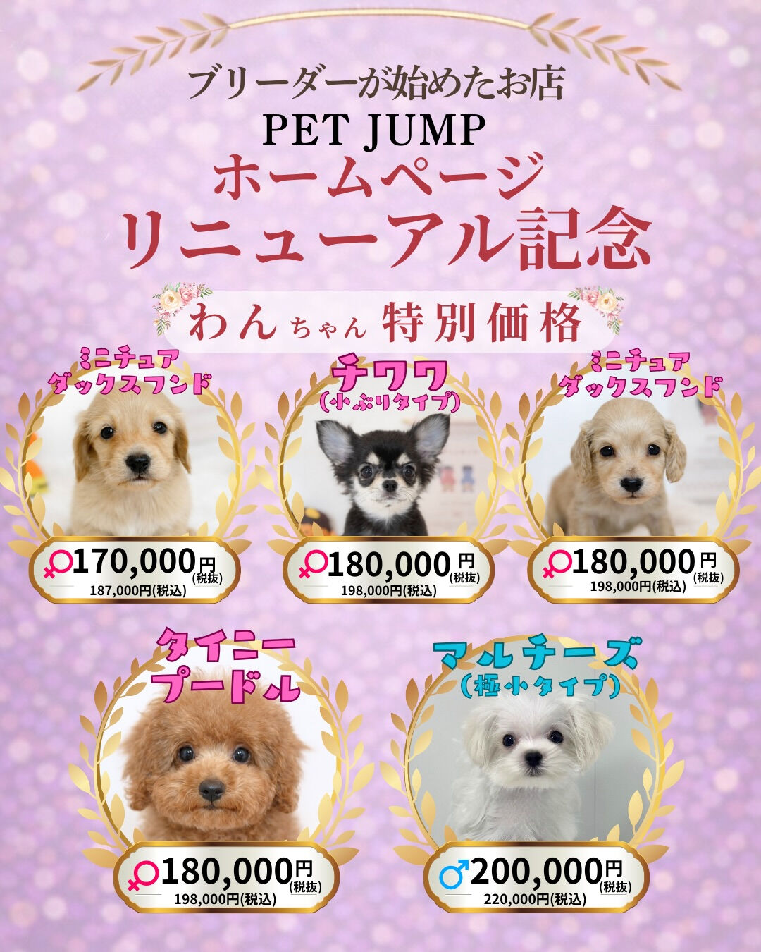 🐶🐱 ホームページリニューアル記念CAMPAIGN 🐱🐶