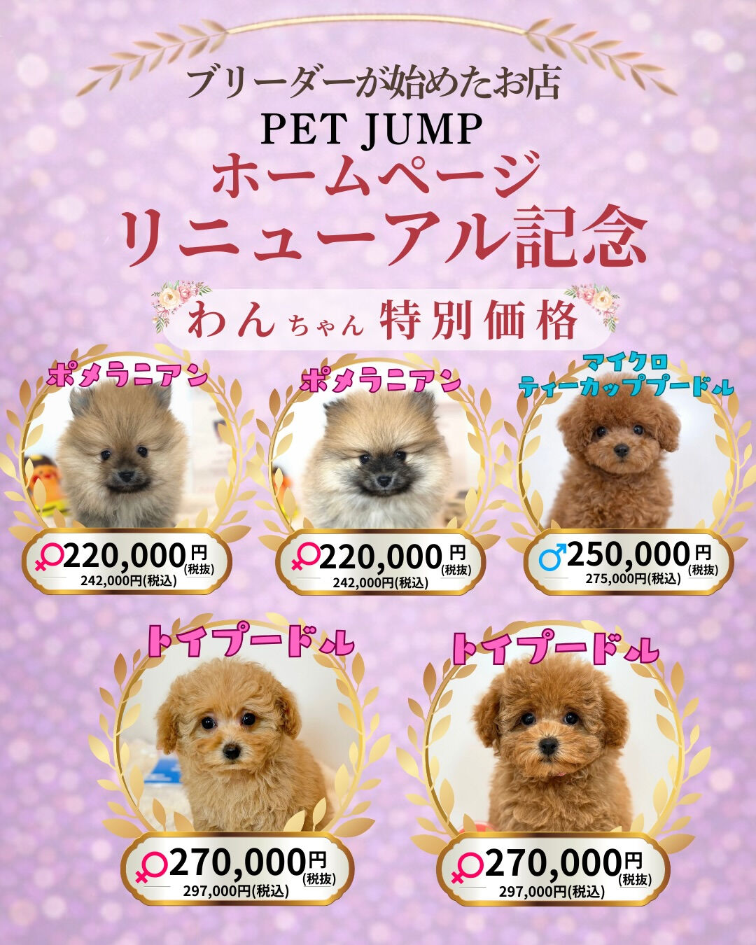 🐶🐱 ホームページリニューアル記念CAMPAIGN 🐱🐶