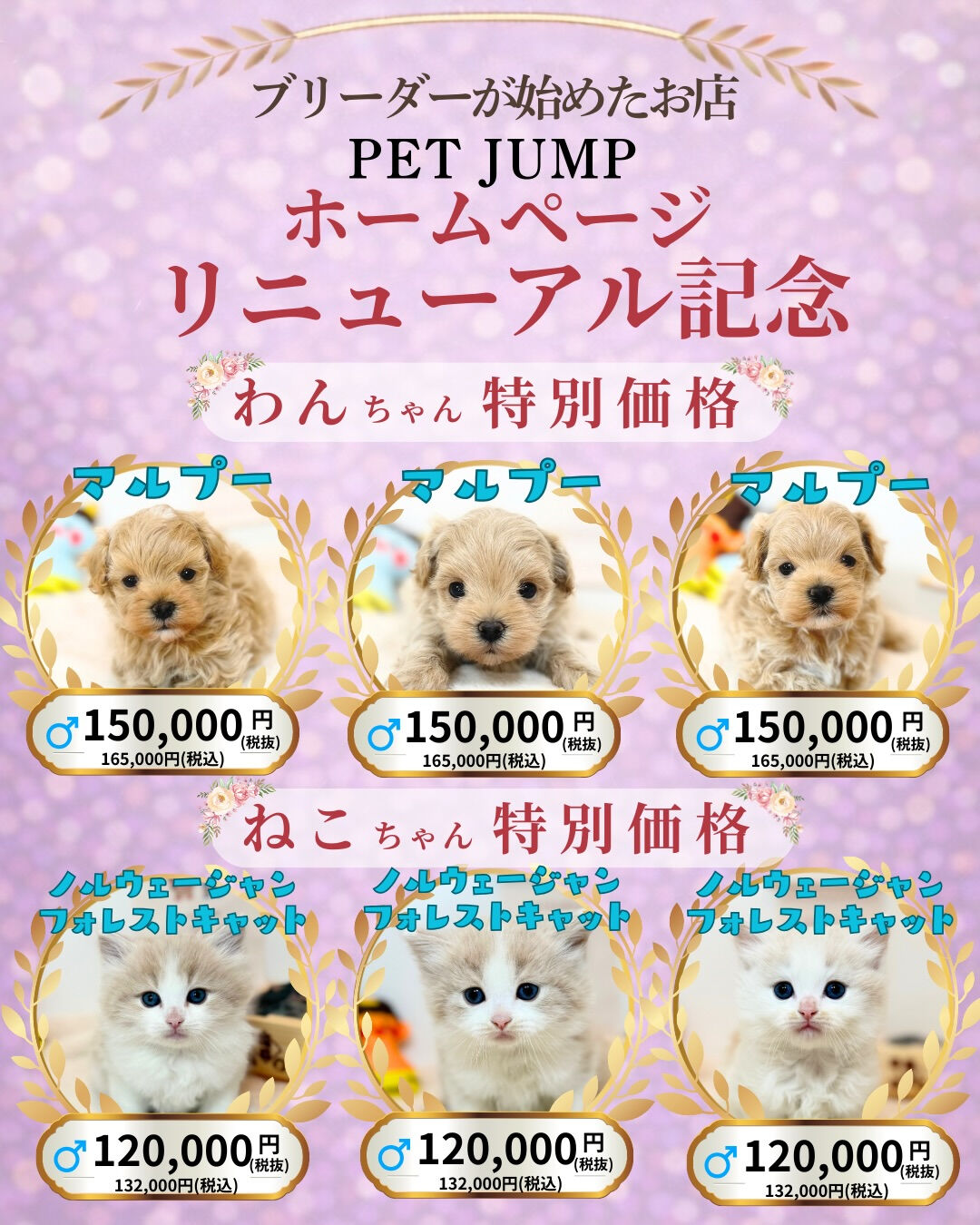 🐶🐱 ホームページリニューアル記念CAMPAIGN 🐱🐶
