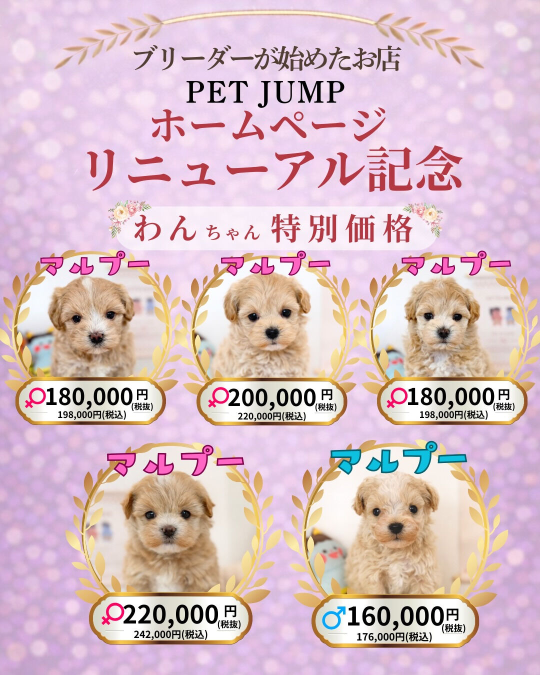 🐶🐱 ホームページリニューアル記念CAMPAIGN 🐱🐶