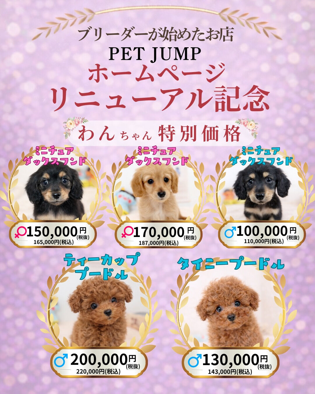 🐶🐱 ホームページリニューアル記念CAMPAIGN 🐱🐶