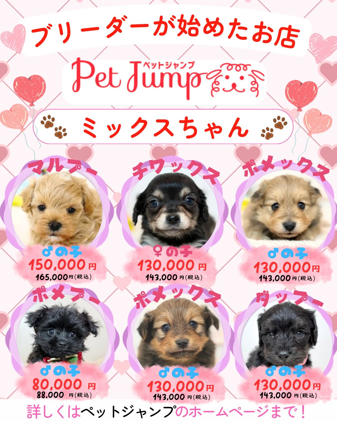 ブリーダーが始めたお店