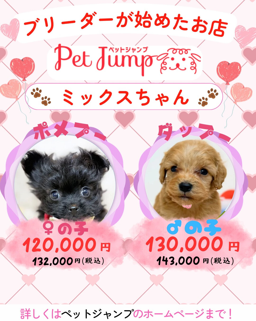 ブリーダーが始めたお店