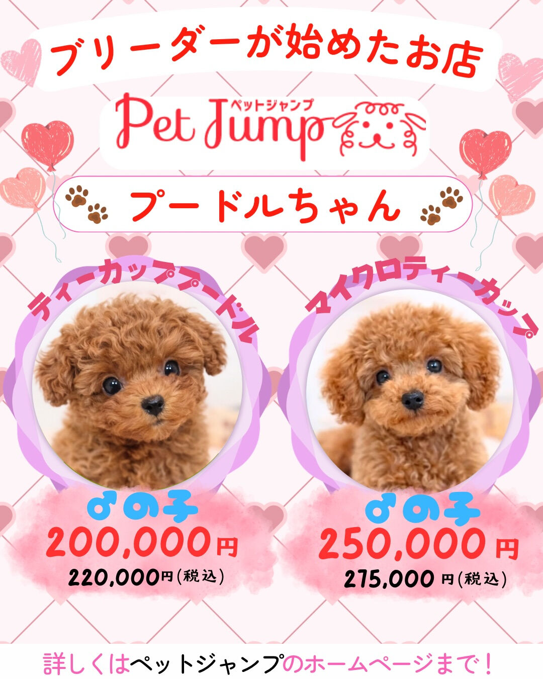 ブリーダーが始めたお店