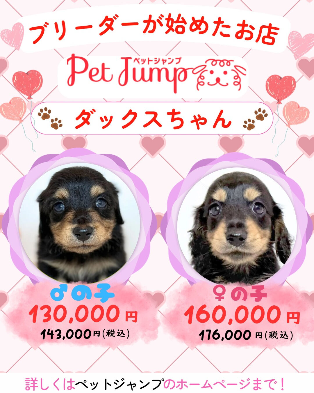 ブリーダーが始めたお店