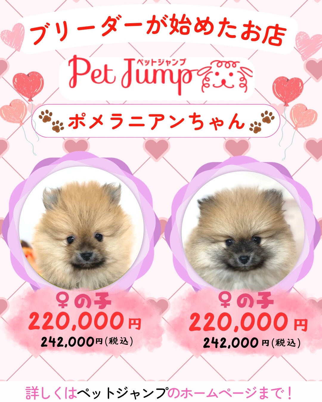 ブリーダーが始めたお店