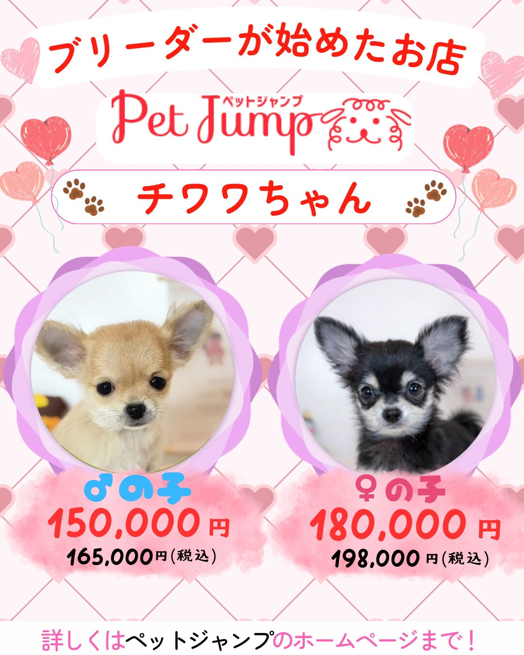 ブリーダーが始めたお店