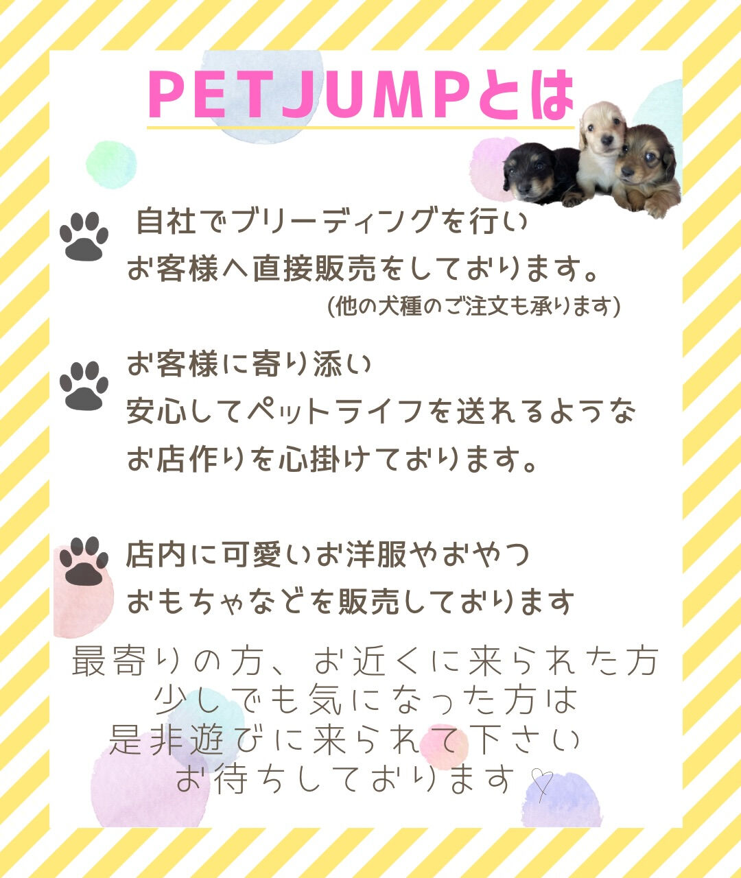PET JUMP＋です‼️