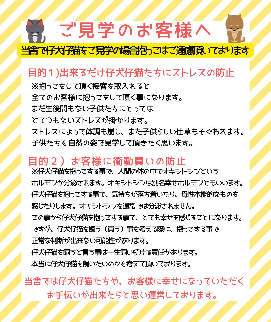 PET JUMP＋です‼️