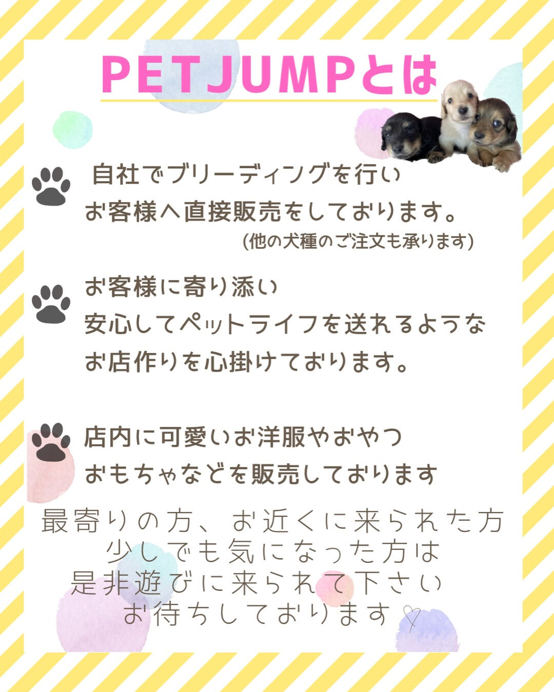 PET JUMPです🐶🩷