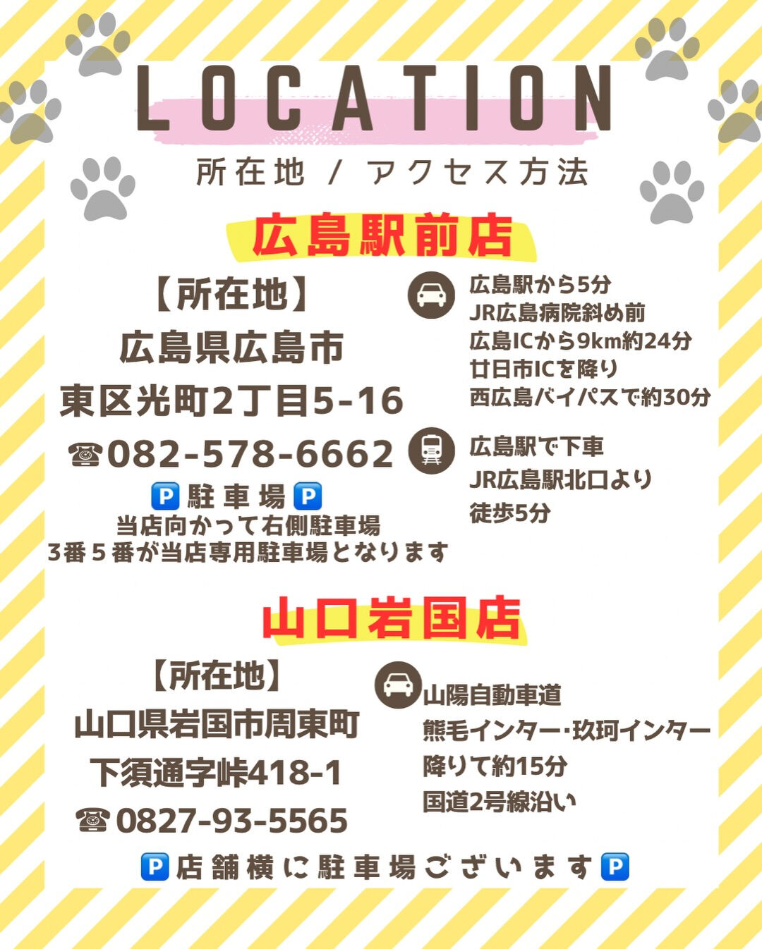 PET  JUMPです🐈✨