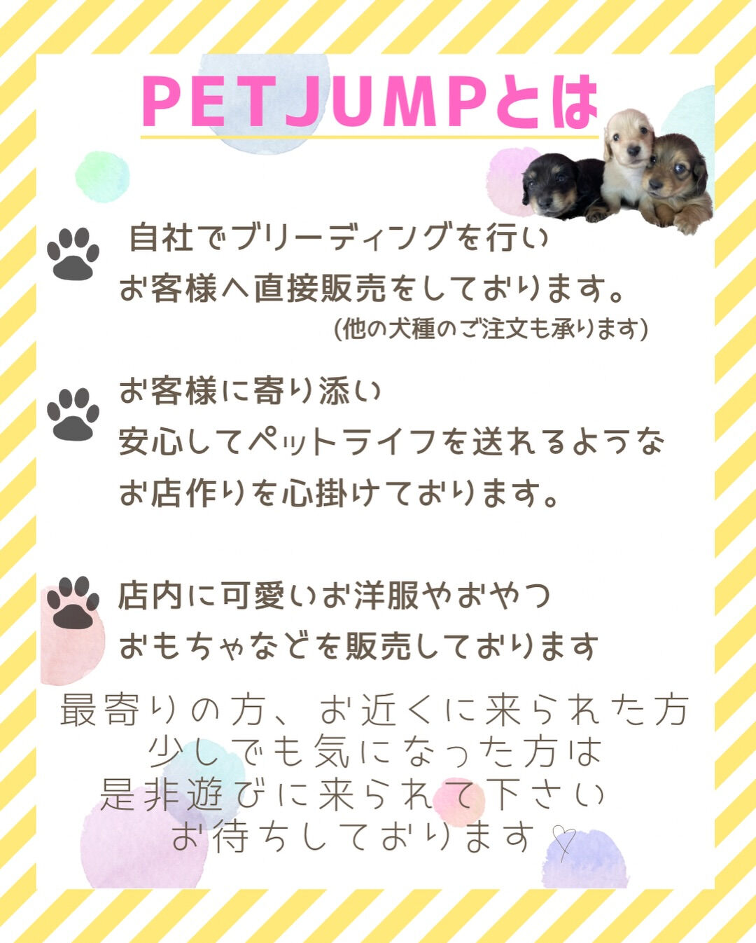 PET JUMPです🐶🩷