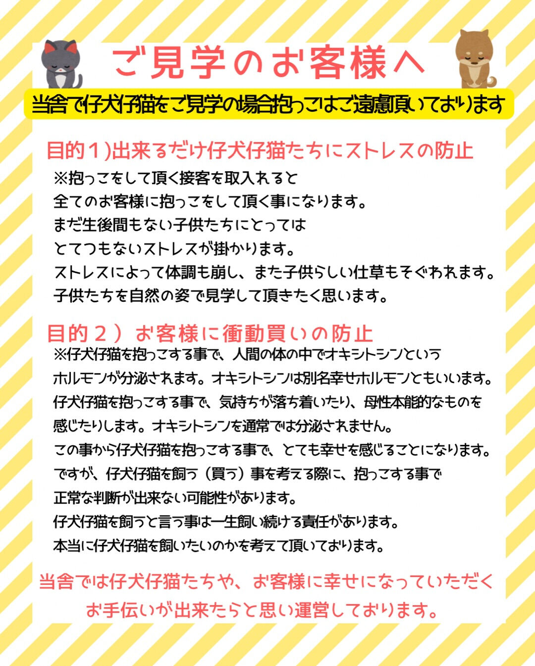 PET JUMPです🐶🩷
