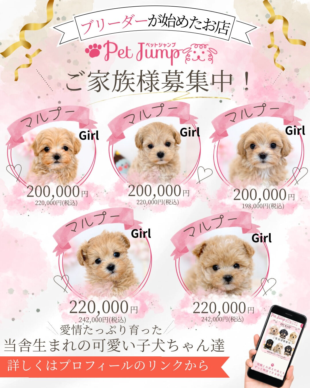 ふわふわのぬいぐるみみたいな