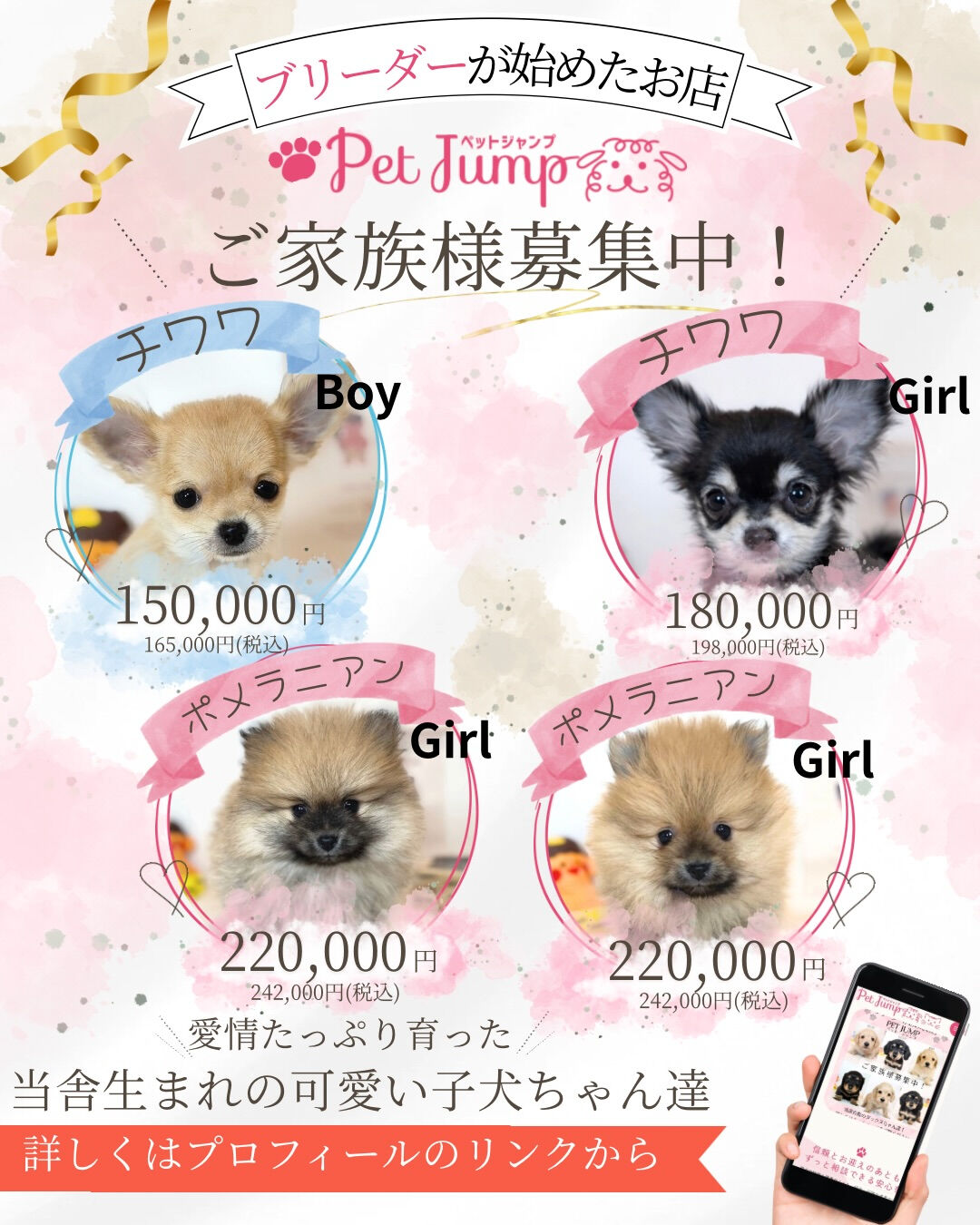ふわふわのぬいぐるみみたいな