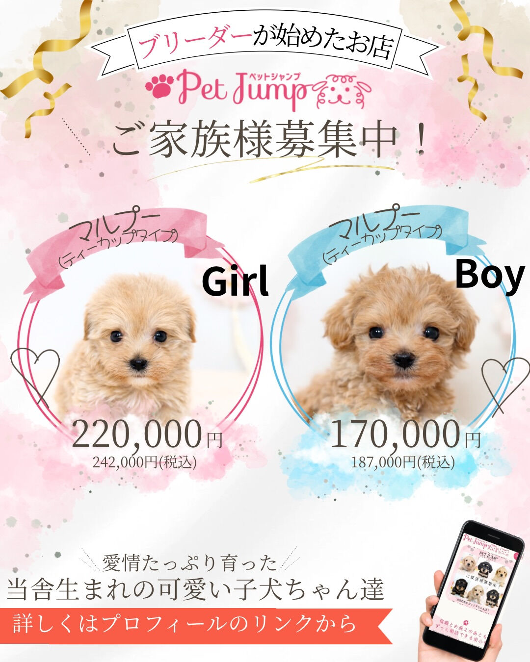 ふわふわのぬいぐるみみたいな