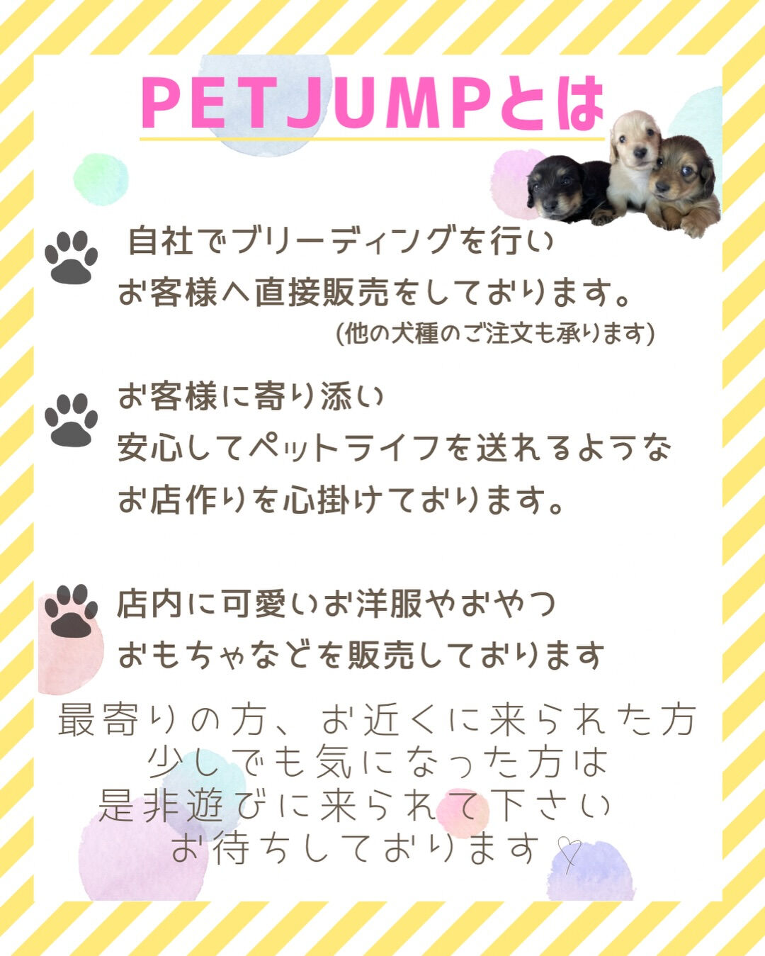 PET JUMPです🐶🩷