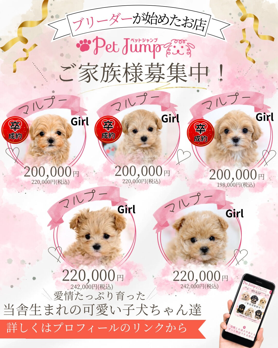 ふわふわのぬいぐるみみたいな