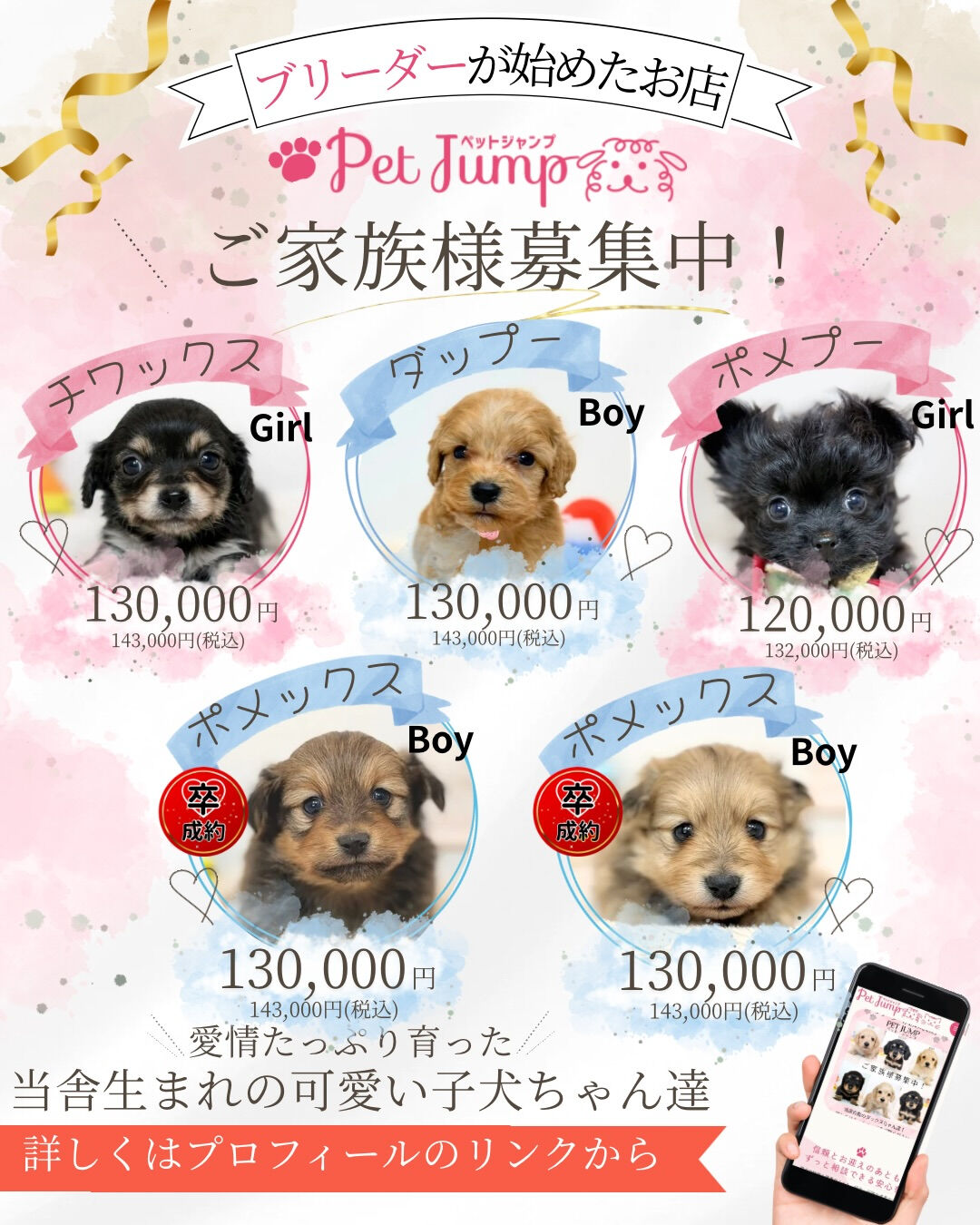 ふわふわのぬいぐるみみたいな