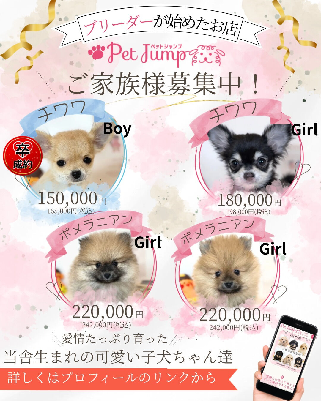 ふわふわのぬいぐるみみたいな