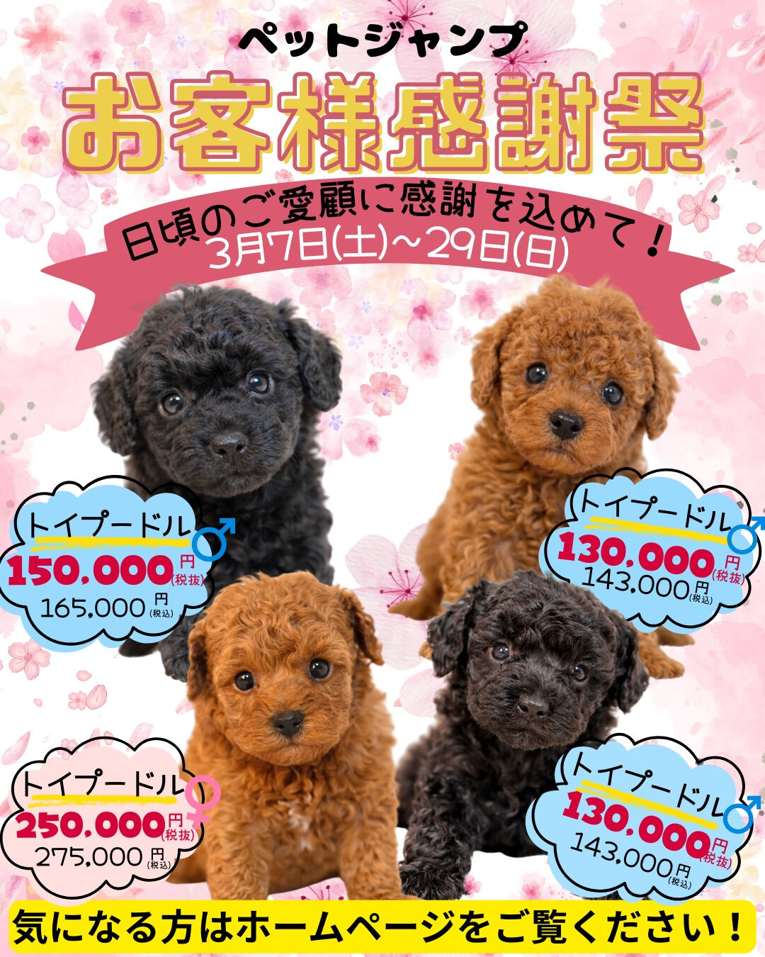 PET JUMP お客様感謝祭開催！
