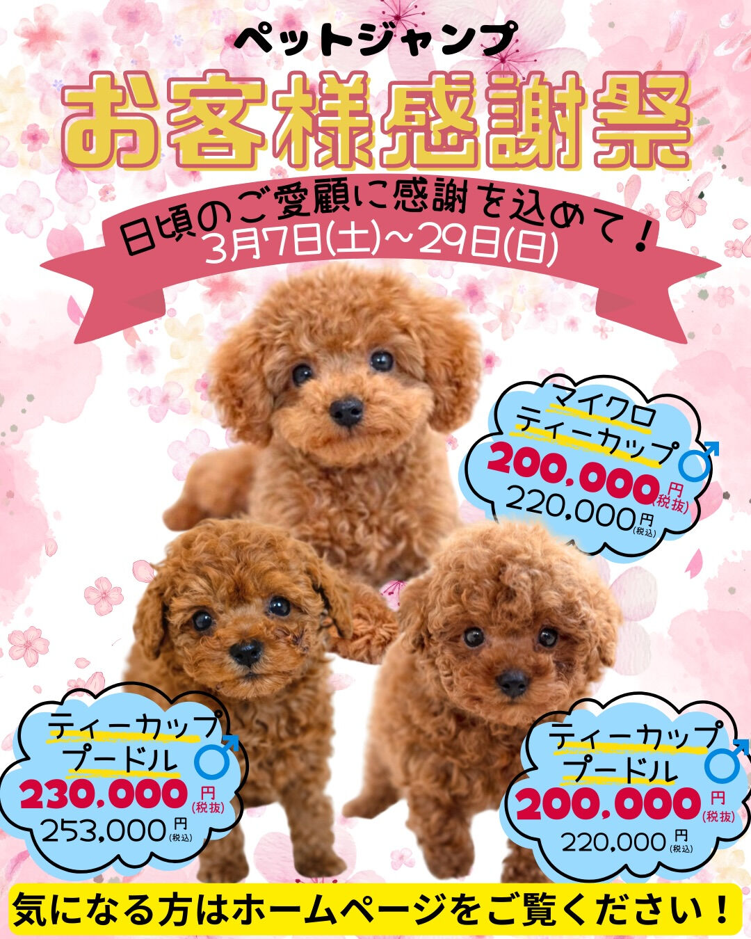 PET JUMP お客様感謝祭開催！