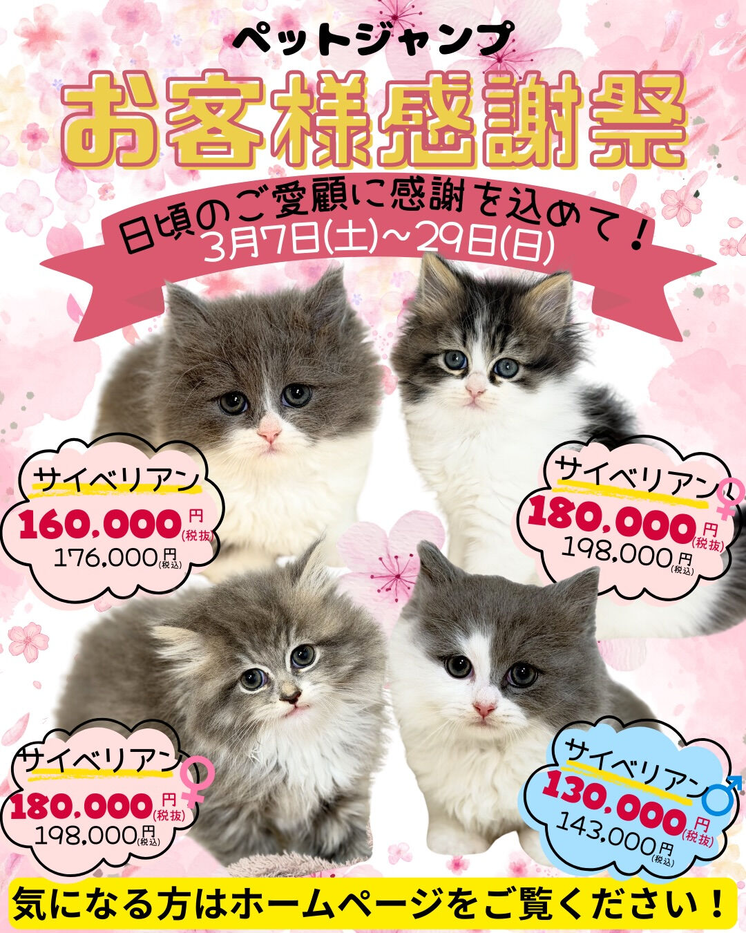 PET JUMP お客様感謝祭開催！