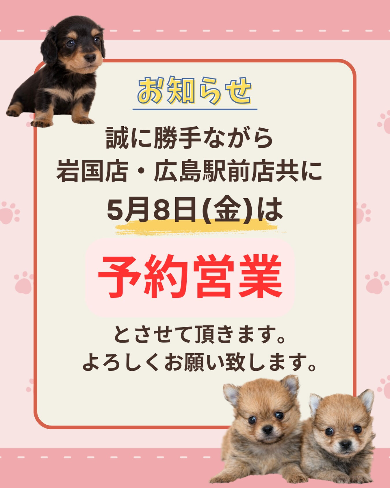 PET JUMPです🐶