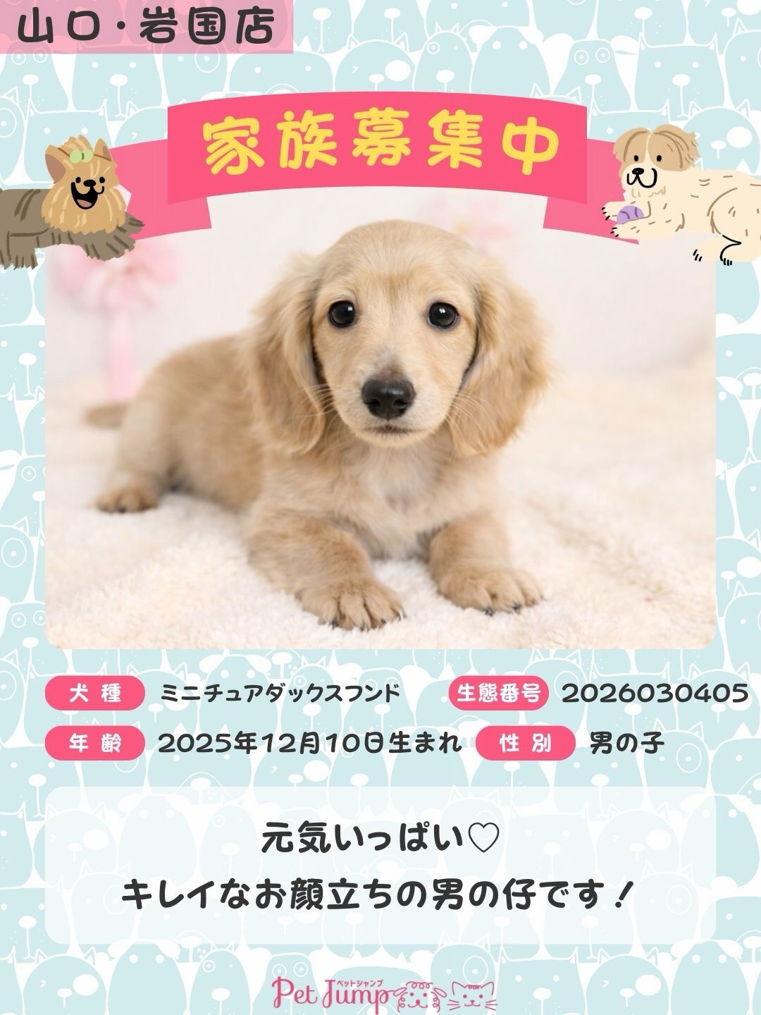 PET JUMPです🐶
