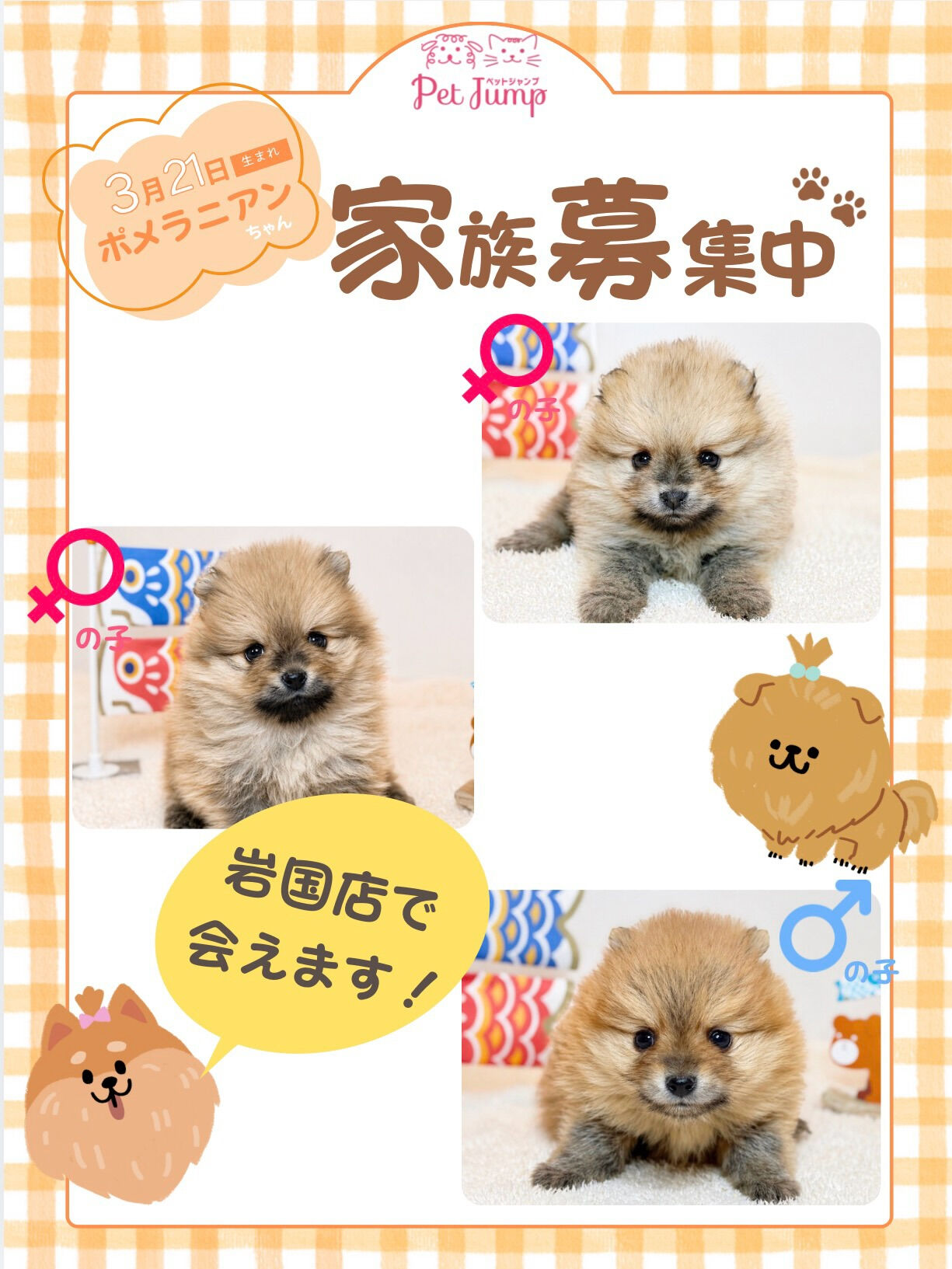 PET JUMPです🐶💛