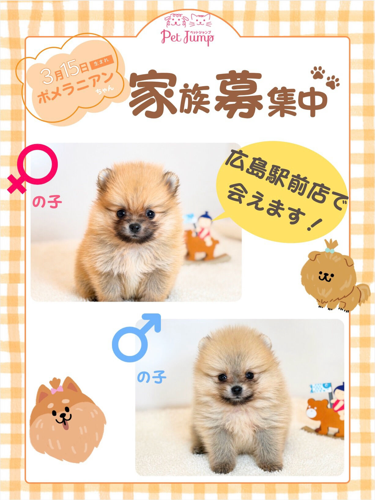 PET JUMPです🐶💛