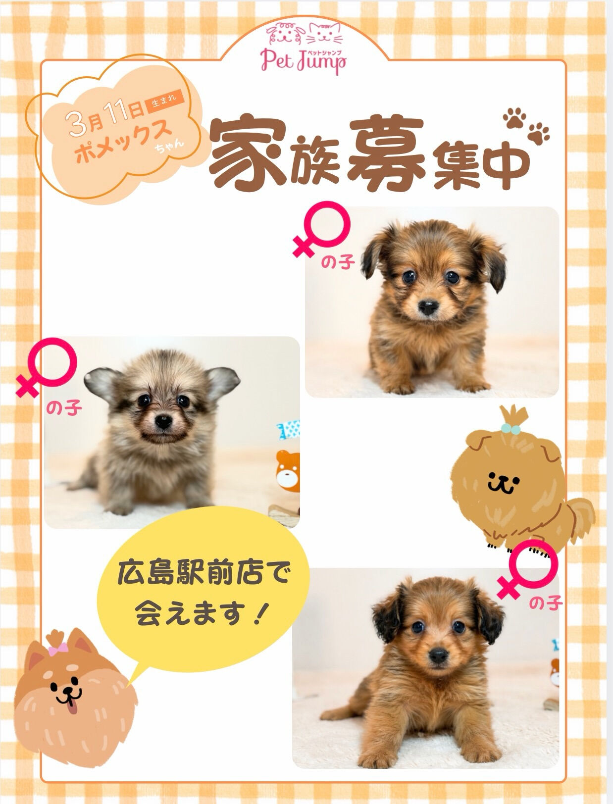 PET JUMPです🐶🧡