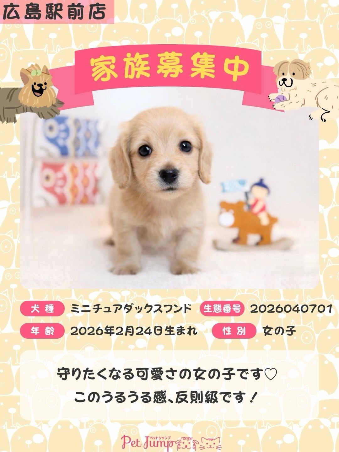 PET JUMPです🐶🩷