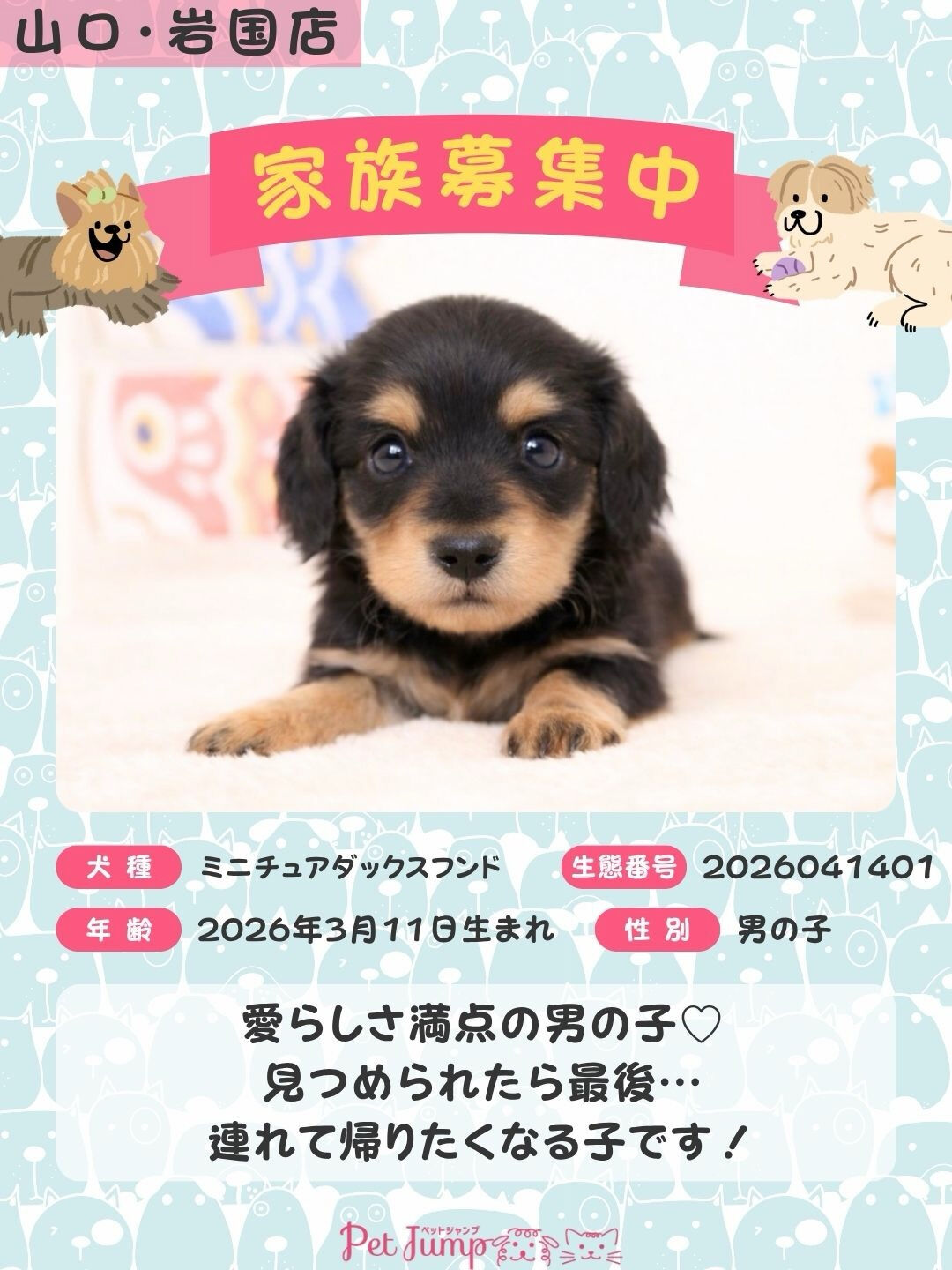 PET JUMPです🐶🩷