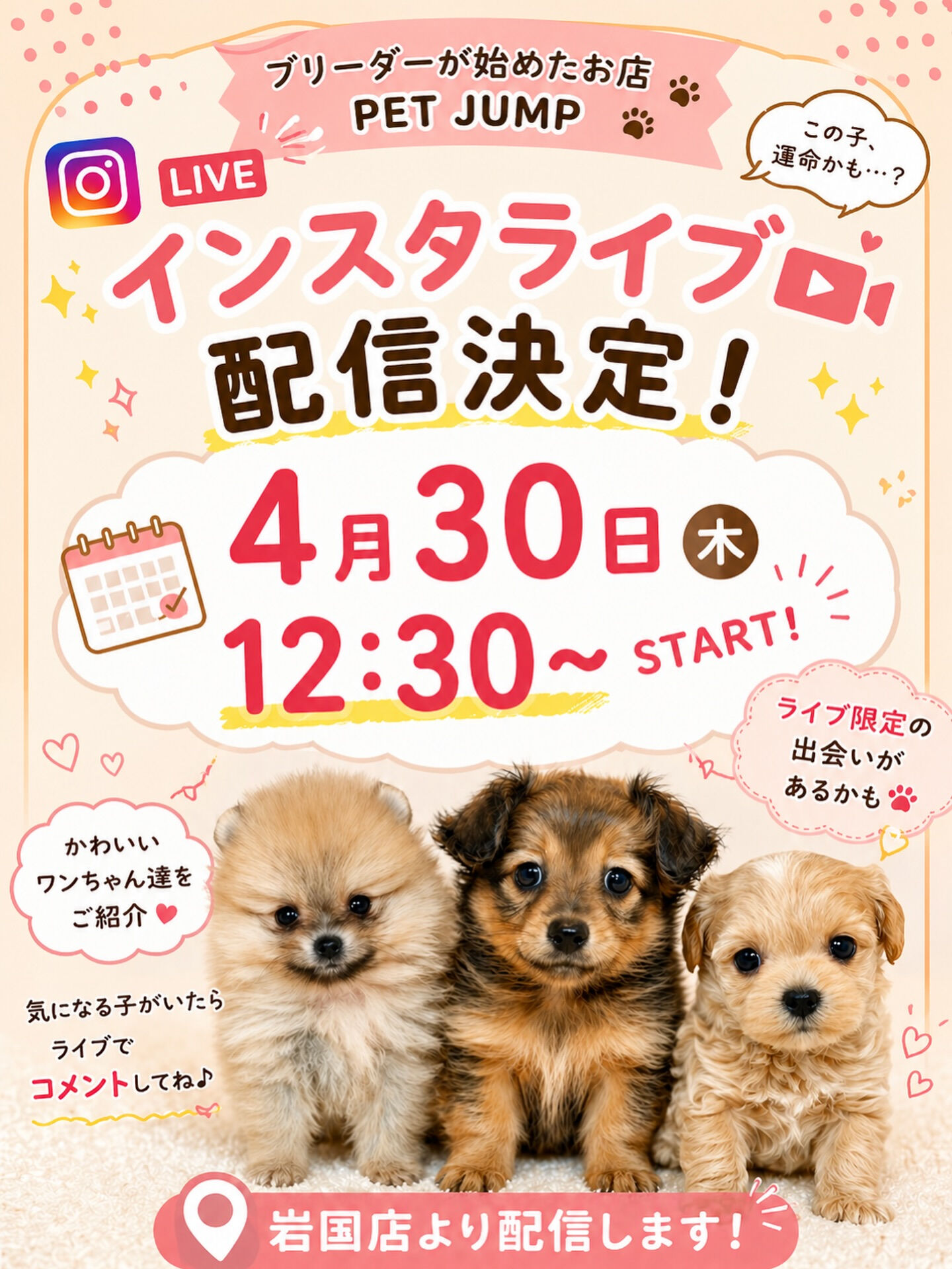 PET JUMPです🐶🩷