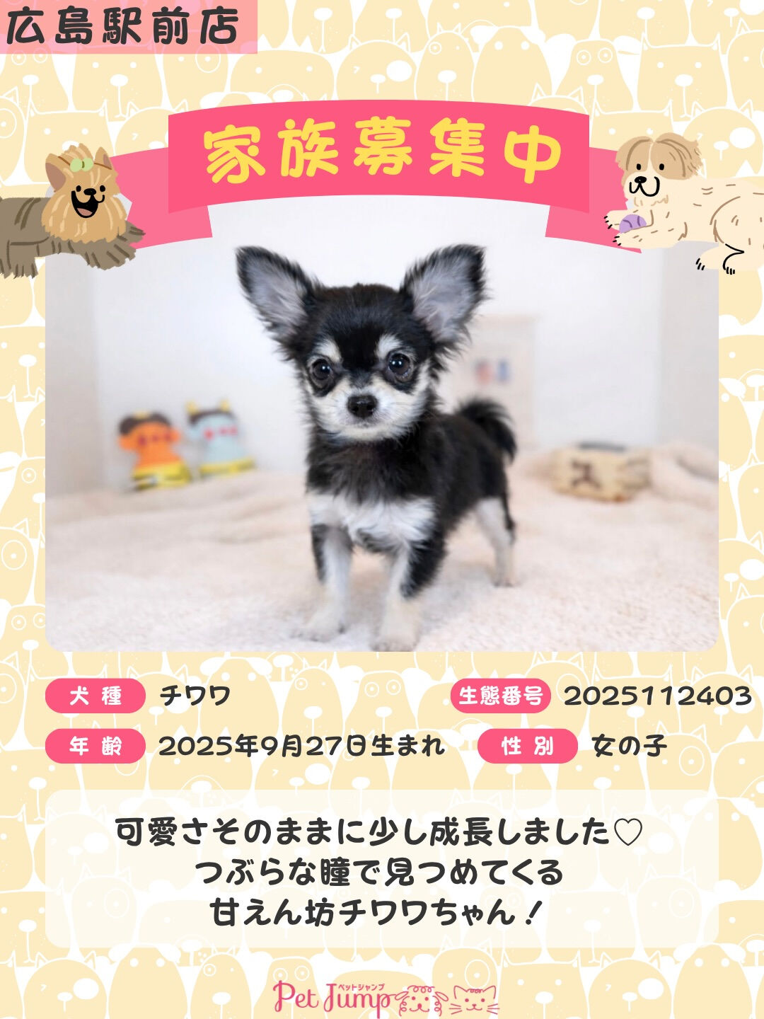 PET JUMPです🐶🩷