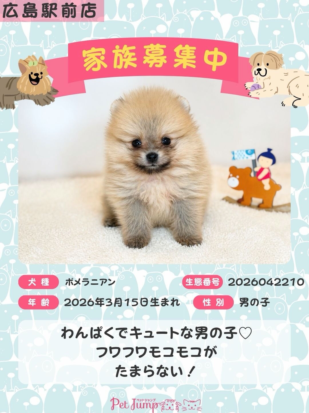 PET JUMPです🐶🩷