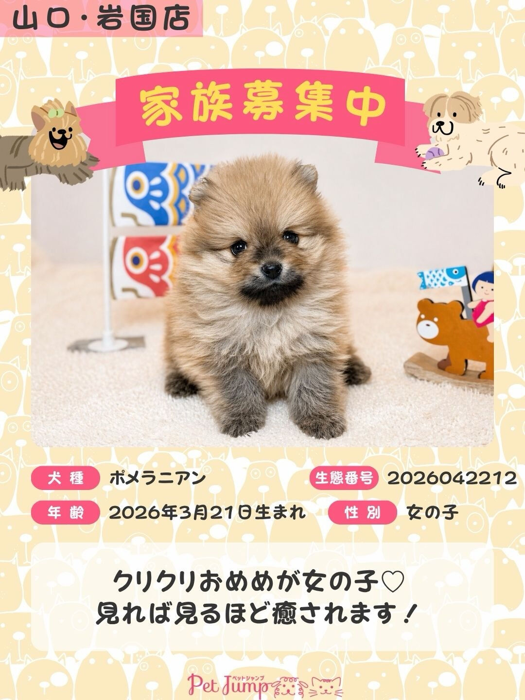 PET JUMPです🐶🩷