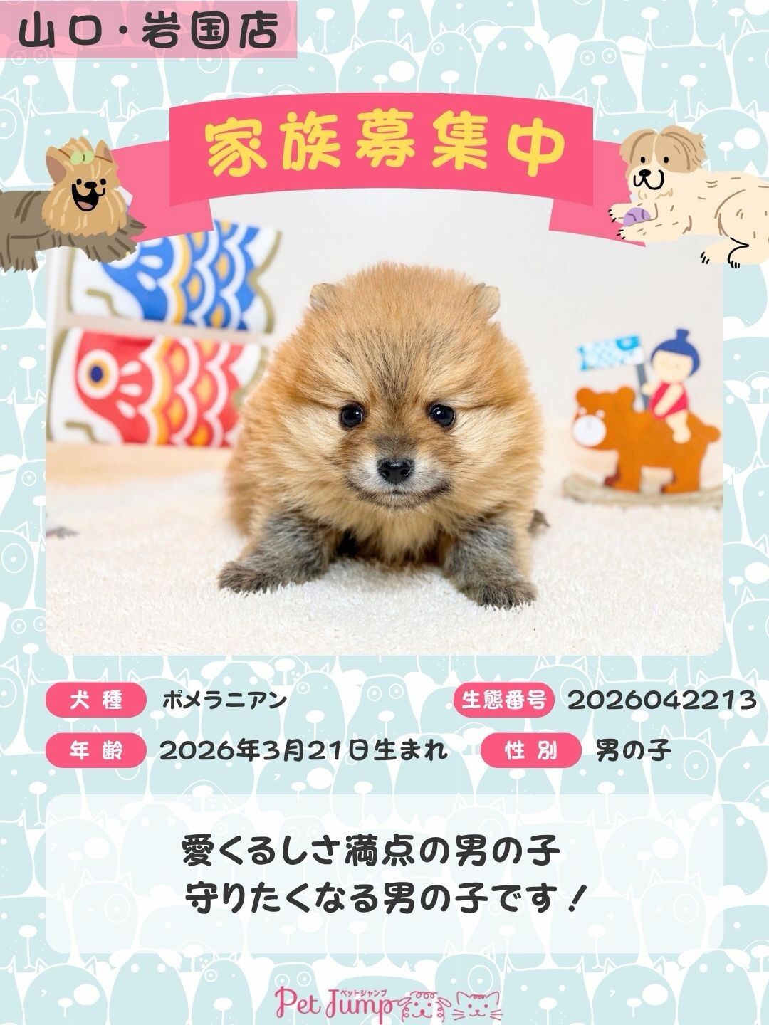 PET JUMPです🐶🩷