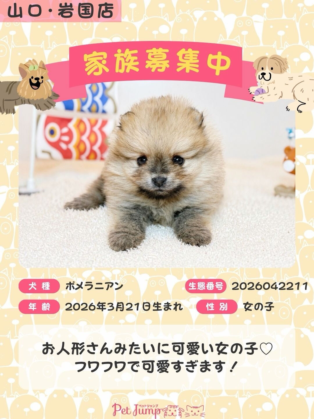 PET JUMPです🐶🩷