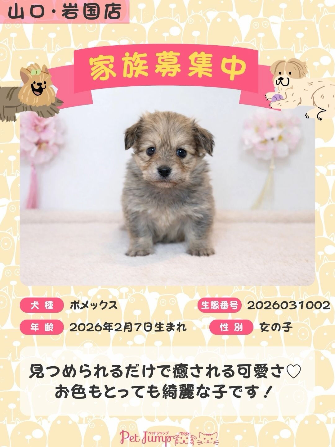 PET JUMPです🐶🩷