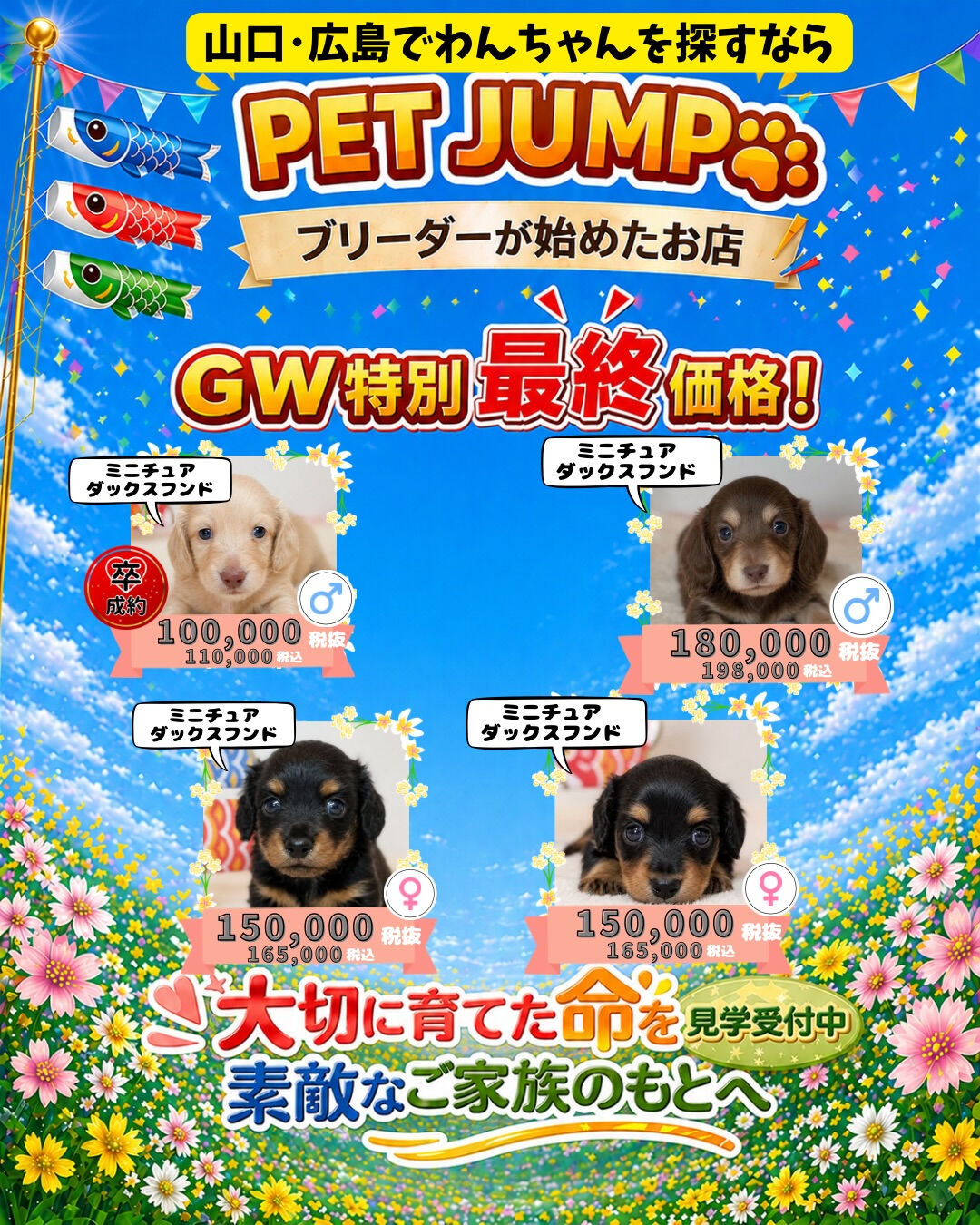PET JUMPです🐶🎏✨